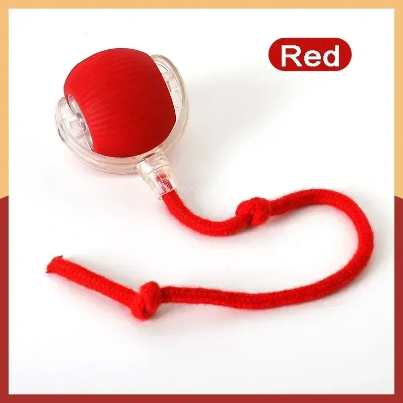 NewSpeedy Tail 2.0 Cat Toy, Speedy Tail Cat Toy, Interactive Cat Ball Toy, Smart Cat Toys Ball, Two Speed Adjustment, with Tail