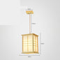 Hot Spring Bathing Scenic Area Homestay Tatami Tea Room Chandelier