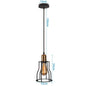 DecorBites™ Industrial Nordic Cage Pendant Light, Black Iron Retro Loft Hanging Lamp