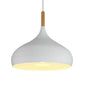 DecorBites™ Industrial Metal Pendant Ceiling Light Fixture for Modern Retro Kitchen Loft