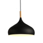 DecorBites™ Industrial Metal Pendant Ceiling Light Fixture for Modern Retro Kitchen Loft