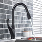 DecorBites™ Kitchen Faucet: Chrome/Black Pull Out Mixer with 2 Function Spout