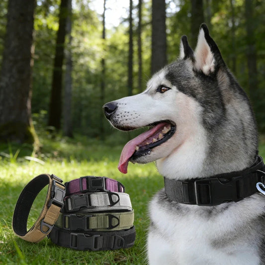 Tactical Dog Collar Adjustable Military Training Nylon Dog Collar with Control Handle and Heavy Metal Buckle for Large Pets