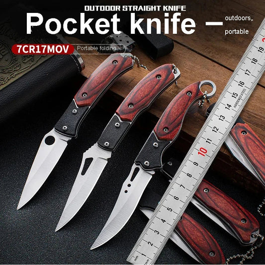 Folding Knife Stainless Steel Outdoor Knife Multifunctional Mini Knife Portable Keychain Fruit Knife