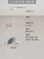 DecorBites™ Japanese Resin Pendant Lights for Dining Room Home Decor - Creative Luminaire Suspendu