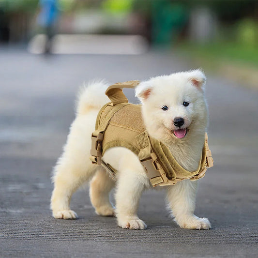 Tactical Puppy Harness For Small Dogs Adjustable Cat Harnesses Vest For Military Service Dogs Training Kitten Cat Accessories