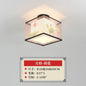 DecorBites™ Lotus Chinese Chandelier Ceiling Lamp Simple Corridor Painting LED Lighting