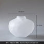 DecorBites™ Glass Pleats Vase for Hydroponics and Flower Arrangement