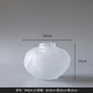 DecorBites™ Glass Pleats Vase for Hydroponics and Flower Arrangement