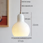 DecorBites™ Glass LED Pendant Lamp | Adjustable Nordic Hanging Light