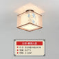 DecorBites™ Lotus Chinese Chandelier Ceiling Lamp Simple Corridor Painting LED Lighting