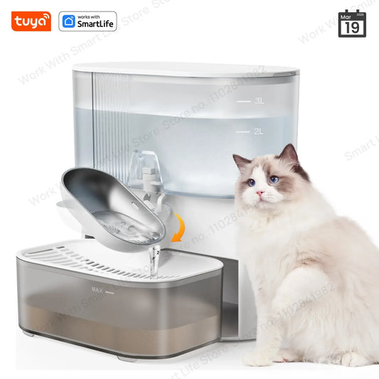 3LSmart Timed Water Dispenser for Cats & Small Dogs, Automatic Pet Fountain, Wastewater Separation Fresh Water, No Filter No APP