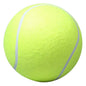 Automatic Dog Ball Launcher Dog Tennis Food Reward Machine Dog Tennis