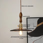 DecorBites™ Glass Copper LED Pendant Lights for Modern Style Dining Kitchen Bedroom