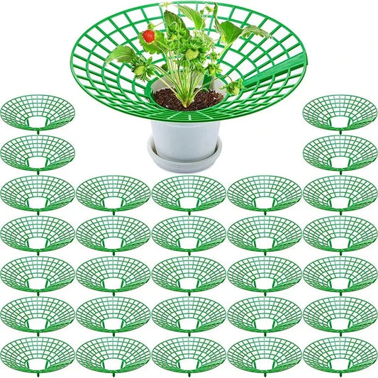 5/10Pcs Strawberry Plant Supports with 3 Sturdy Legs Strawberry Growing Racks Protector Frame Holder Cage From Mold Rot Dirt