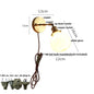 DecorBites™ Glass Rotate Copper Wall Sconce | Pull Chain Switch LED Light Fixture