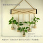 DecorBites™ Glass Planter Vase with Wooden Stand for Wall Hanging Display