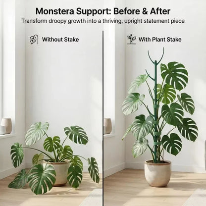 10Pcs Monstera Plant Support Set Stackable Tall Poles with Ties Support Climbing Plant Stems Durable Outdoor Gardening Supports