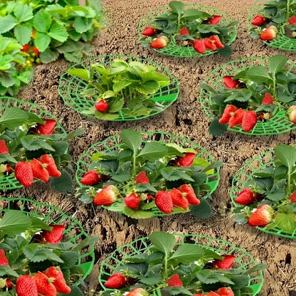 10pcs Green Strawberry Planting Racks, Watermelon Support Frames, 3-Legged Plant Protector, Easy Assembly plant accessories