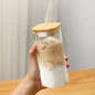 DecorBites™ Heat Resistant Glass Cup with Lid and Straw for Coffee, Milk, Tea, Juice