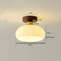 DecorBites™ Glass LED Ceiling Lamp Copper Walnut Modern Living Room Lighting Fixtures