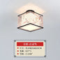 DecorBites™ Lotus Chinese Chandelier Ceiling Lamp Simple Corridor Painting LED Lighting