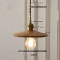 DecorBites™ Glass LED Pendant Lamp Copper Socket for Dining Living Room Decor