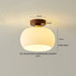 DecorBites™ Glass LED Ceiling Lamp Copper Walnut Modern Living Room Lighting Fixtures
