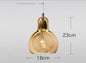 DecorBites™ Glass Pendant Lights Modern Indoor Decoration Ceiling Lamp
