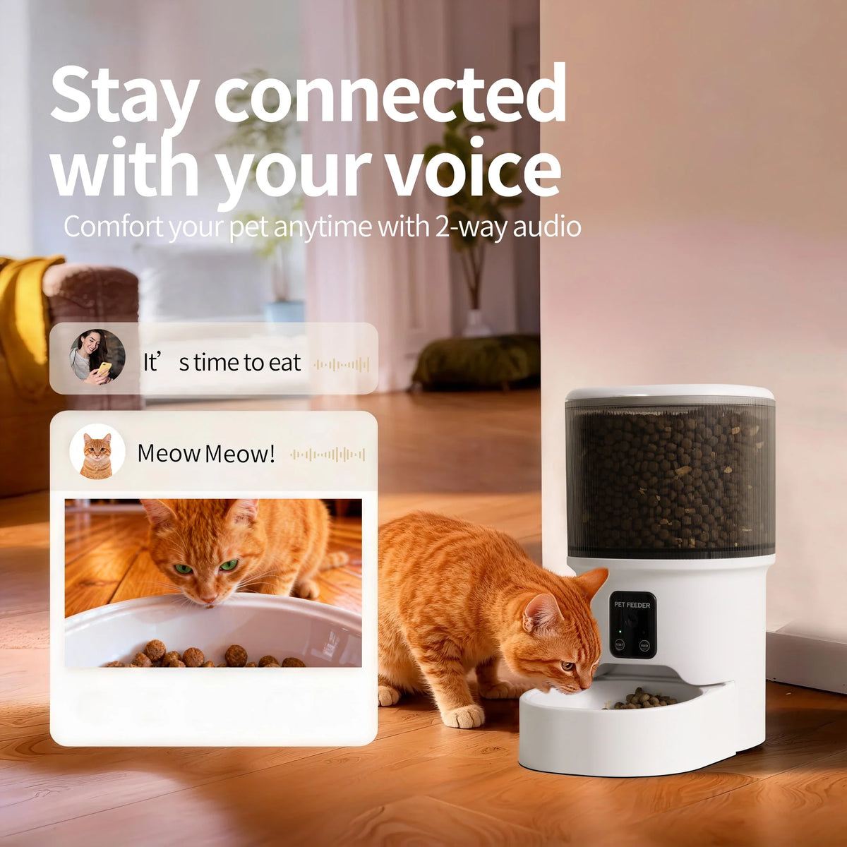 4L Smart Pet Feeder Automatic Cat Food Dispenser Cat Dog Bowl
