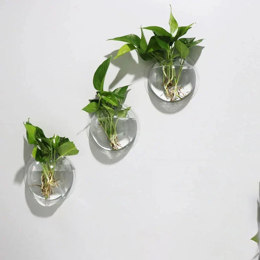 2/4/6/8 Pack Wall Hanging Glass Terrarium - Self-Watering Hydroponic