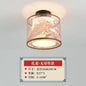 DecorBites™ Lotus Chinese Chandelier Ceiling Lamp Simple Corridor Painting LED Lighting