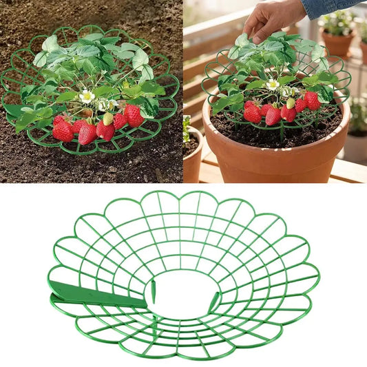 5/10pcs Strawberry Plant Supports with Three Sturdy Legs Provide Protection for Strawberries Against Mold, Rot, and Dirt