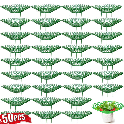 5-50Pcs Strawberry Plant Supports with 3 Sturdy Legs Strawberry Growing Racks Protector Frame Holder Cage From Mold Rot Dirt