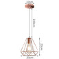 DecorBites™ Industrial Retro Loft LED Pendant Light for Home Living Room Kitchen