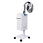 Hair Steamer Ozone Heating Cap Salon Use Hair Moisturizing Treatment Machine Steam Spray Hair Care Device For Hair Nourishing