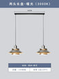 DecorBites™ Industrial Retro LED Bedside Pendant Lights for Bedroom, Kitchen, Dining Room