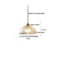 DecorBites™ Japanese Style LED Pendant Lamp Copper Glass Hanging Light Fixtures