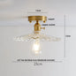 DecorBites™ Glass LED Ceiling Light for Living Room, Modern Copper Canopy, Nordic Style Fixtures