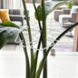 1Pc Large Monstera Plant Support Frame Sturdy Climbing Stems Leaf Stabilizer Outdoor Use for Tall Houseplant Hanging Plant Stand