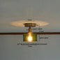 DecorBites™ Green Glass LED Ceiling Lamp for Home Living Room and Hallway Lighting