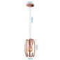 DecorBites™ Industrial Retro Loft LED Pendant Light for Home Living Room Kitchen
