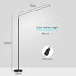 DecorBites™ LED Floor Lamp: Super Bright Minimalist Reading Fixture for Living Room and Bedroom