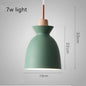 Creative retro industrial style solid wood wrought iron single head chandelier