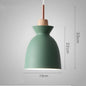 Creative retro industrial style solid wood wrought iron single head chandelier