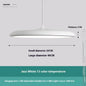 Nordic Modern Simple LED Chandelier Restaurant Chandelier Designer Chandelier