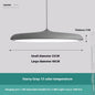 Nordic Modern Simple LED Chandelier Restaurant Chandelier Designer Chandelier