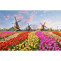 Puzzles 500 Pieces Wooden Assembling Picture Landscape Puzzles Toys For Adults Childrens Kids Games Educational Toy
